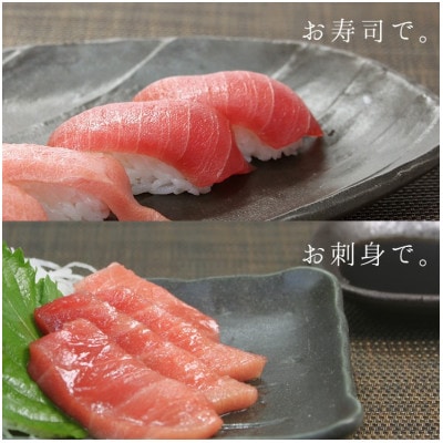 本マグロ中トロ　約1kg　解凍レシピ付き　1サクずつ真空包装