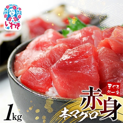 本マグロ赤身 約1kg 解凍レシピ付 1サクずつ真空包装