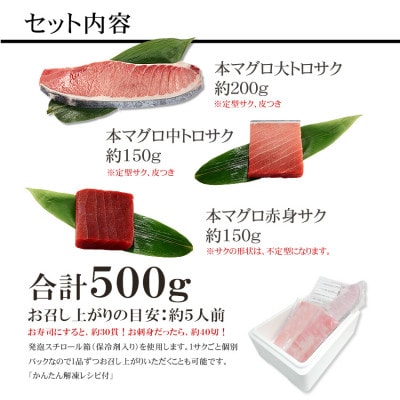 本マグロ大トロ中トロ赤身セット　約500g　解凍レシピ付き　1サクずつ真空包装