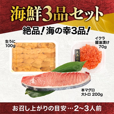 海鮮3品セット 本マグロ大トロ・生ウニ・イクラ醤油漬け【総重量370g】
