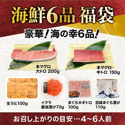 豪華海鮮6品福袋 本マグロ大トロ・中トロ・生ウニ・イクラ・ネギトロ・鮪漬け【総重量730g】
