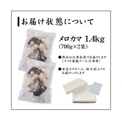 高級メロカマ 700gx2パック