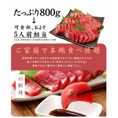 本マグロ訳あり赤身800g　解凍レシピ付