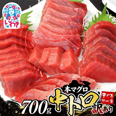 本マグロ訳あり中トロ 約700g 解凍レシピ付き