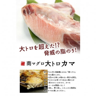マグロ大トロカマ　約1kg　滴るほどの脂のり!塩焼き・煮付け・BBQに　解凍レシピ付き