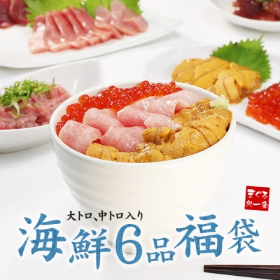 豪華海鮮6品福袋 大トロ 中トロ 生ウニ イクラ ネギトロ 鮪漬け【計730g】(イクラアメリカ産)