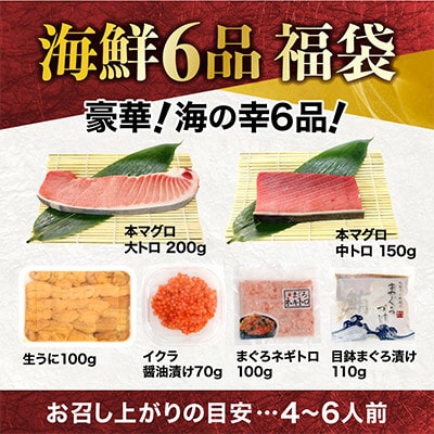 豪華海鮮6品福袋 大トロ 中トロ 生ウニ イクラ ネギトロ 鮪漬け【計730g】(イクラアメリカ産)