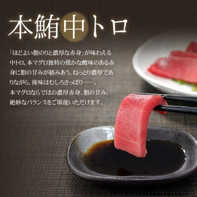 【2ヵ月毎定期便】本マグロ中トロ・赤身セット 真空包装 [計約320g]全3回