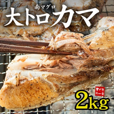 【2ヵ月毎定期便】南マグロ大トロカマ [約2kg(8～16ブロック)]全3回