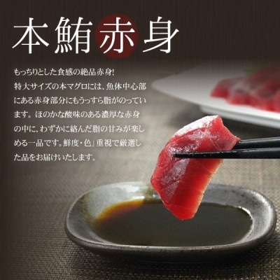 【2ヵ月毎定期便】本マグロ赤身 真空包装 [約300g(2～3サク)]全3回