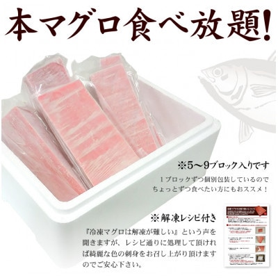 【2ヵ月毎定期便】本マグロ赤身 真空包装 [約1kg(5～9サク)]全3回