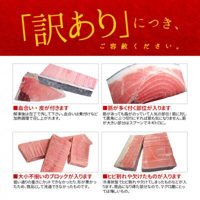 【2ヵ月毎定期便】本マグロ訳あり中トロ 真空包装 [約1kg(3～6ブロック)]全3回