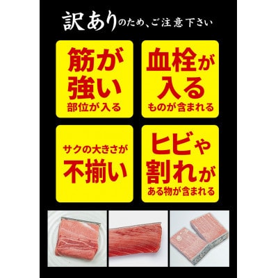 【2ヵ月毎定期便】本マグロ訳あり中トロ 真空包装 [約700g(3～5ブロック)]全3回