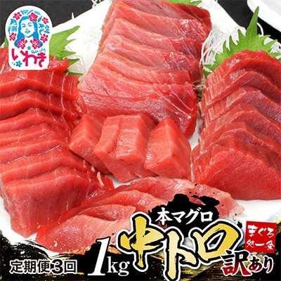 【毎月定期便】本マグロ訳あり中トロ 真空包装 [約1kg(3～6ブロック)]全3回