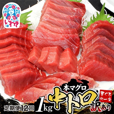 【毎月定期便】本マグロ訳あり中トロ 真空包装 [約1kg(3～6ブロック)]全12回