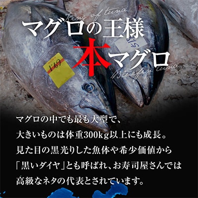 【毎月定期便】本マグロ訳あり中トロ 真空包装 [約1kg(3～6ブロック)]全12回