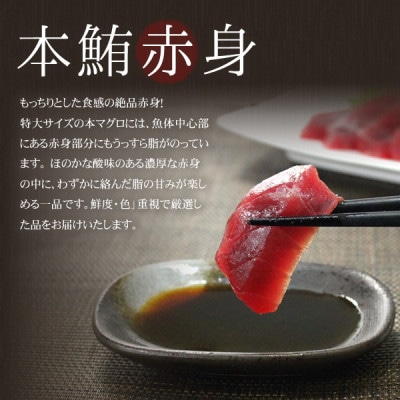 【毎月定期便】本マグロ赤身 真空包装 [約300g(2～3サク)]全6回