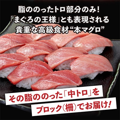 【毎月定期便】本マグロ訳あり中トロ 真空包装 [約700g(3～5ブロック)]全6回