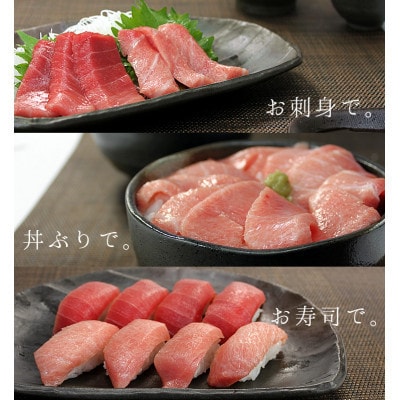 【毎月定期便】本マグロ大トロ・中トロセット 真空包装 [計約350g]全3回