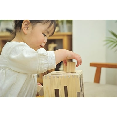 檜のおもちゃIKONIH ドロップボックス