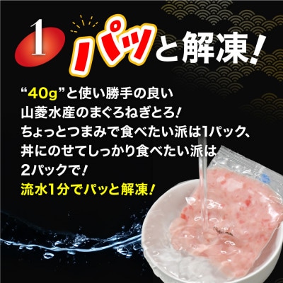 訳あり とろけるねぎとろ|小分け食べきりパック 約500g(約40g×12パック)
