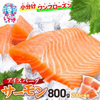 アイスバーグサーモン|ワンフローズンの生サーモン(ノルウェー直送)約200g×4