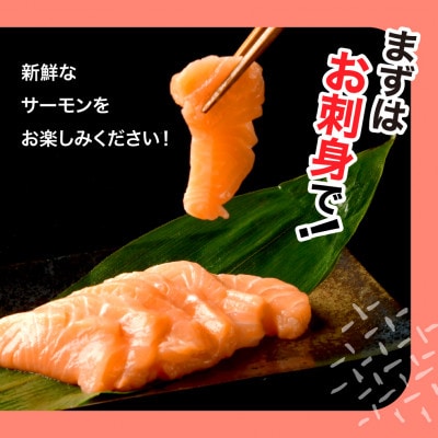 アイスバーグサーモン|ワンフローズンの生サーモン(ノルウェー直送)約200g×4