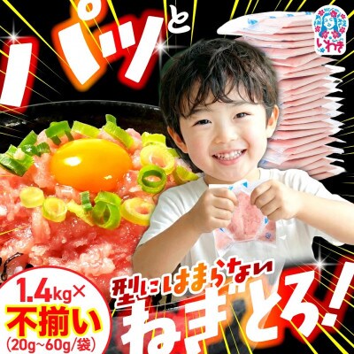 訳あり とろけるねぎとろ|小分け食べきりパック 不揃い詰め合わせ 1.4kg
