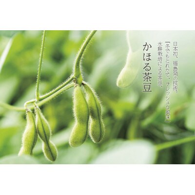 かほる茶豆 枝豆の高級品種 茶豆種 0g 3パック お礼品詳細 ふるさと納税なら さとふる かほる茶豆 枝豆の高級品種 茶豆種 0g 3パック お礼品詳細 ふるさと納税なら さとふる