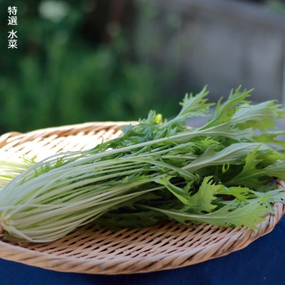 いわき浜の野菜セット(いわき市産の野菜詰め合わせセット)