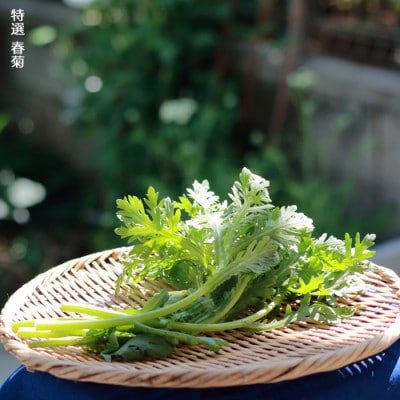 いわき浜の野菜セット(いわき市産の野菜詰め合わせセット)