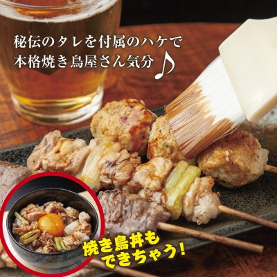 【無地熨斗】焼鳥専門店　9種焼鳥食べ比べセット(45本)　【生冷凍】焼鳥のタレ付き