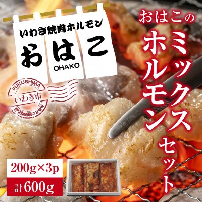 【新鮮ホルモン焼肉】焼肉専門店よりお届け　本格ホルモンをご自宅で!　ミックスホルモンセット600g!