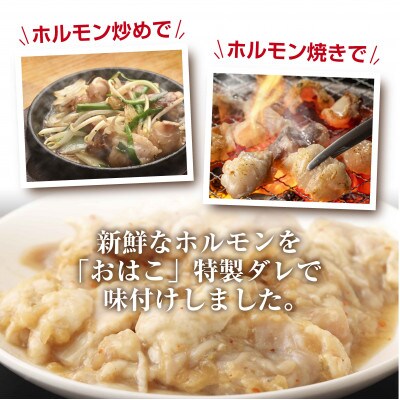 【新鮮ホルモン焼肉】焼肉専門店よりお届け　本格ホルモンをご自宅で!　ミックスホルモンセット600g!
