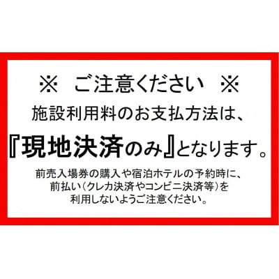 スパリゾートハワイアンズ 施設利用券3,000円分 | お礼品詳細