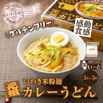 無地熨斗　ギフトにおすすめ　【グルテンフリー】いわき米粉麺カレーうどん　3食入×3箱