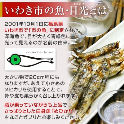 常磐産めひかりの丸干し干物【40尾セット】