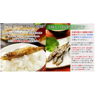 常磐産めひかりの丸干し干物【40尾セット】