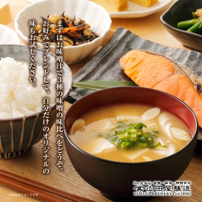 【無地熨斗】ギフト用【味噌・醤油・発酵食品】いわき市山田屋醸造の厳選味噌3種食べ比べセット