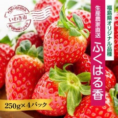 【産地直送】いわき市産いちご 草野いちご園のふくはる香 1kg(250g&times;4パック)