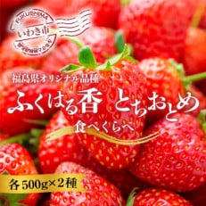 【産地直送】いわき市産いちご「ふくはる香」「とちおとめ」の食べ比べセット1kg(250g&times;4パック)