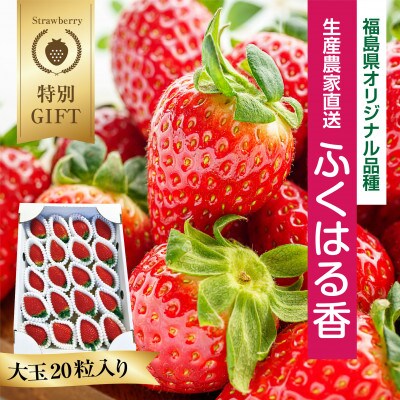 【産地直送・数量限定・特別ギフト】いわき市産いちご　ふくはる香　大玉20粒入り1箱