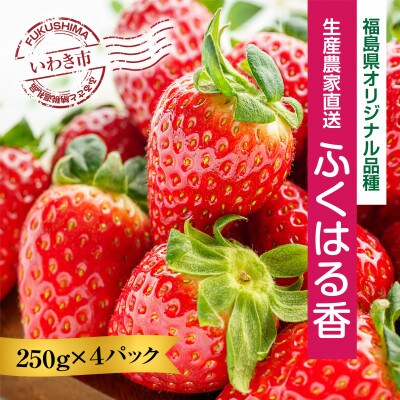 【2025年福島県いわき市産】朝積み　草野いちご園のふくはる香 250g×4p　