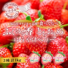 先行受付【2024年1月以降順次発送】いわき市産いちごの食べ比べセット 1キロ入り