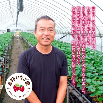 【無地熨斗】いちご農家が作った「いちごのジェラート」8個セット