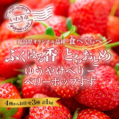 【2025年福島県いわき市産】朝積み　いわき市産いちごの食べ比べお楽しみセット　計1キロ入り