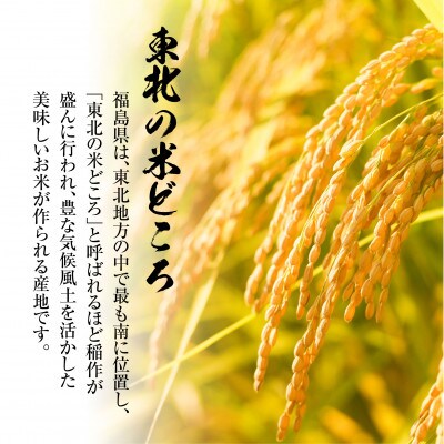 福島県　いわき市産　コシヒカリ　お米　5kg　精米済み(お米のおいしい炊き方ガイド付き)