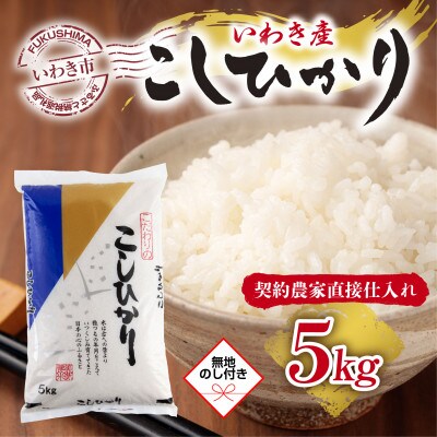 【無地熨斗】福島県　いわき市産　コシヒカリ　お米　5kg　精米済み(お米のおいしい炊き方ガイド付き)