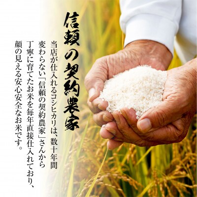 【無地熨斗】いわき市産コシヒカリお米　5kg×2袋　10kg　精米済み　お米のおいしい炊き方ガイド付