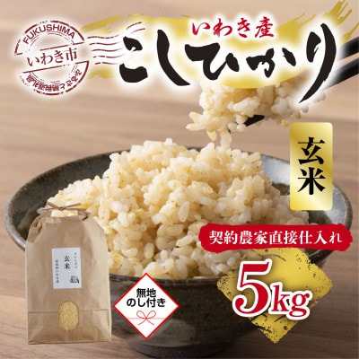 【無地熨斗】福島県　いわき市産　コシヒカリ　5kg　玄米(お米のおいしい炊き方ガイド付き)